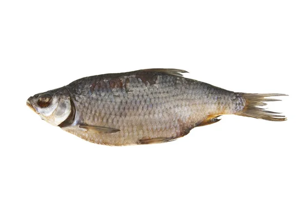 Fisch für Bier isoliert auf weißem Hintergrund — Stockfoto