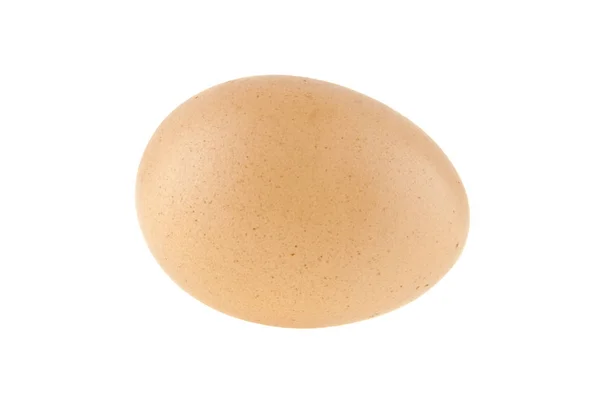 Куриное яйцо на белом фоне — стоковое фото