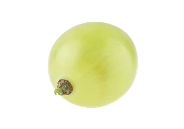 Grønne druer som er isolert på hvit bakgrunn – stockfoto