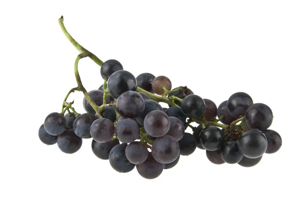 蓝色葡萄，背景为白色 — 图库照片