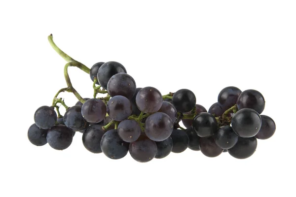 Raisins bleus isolés sur fond blanc — Photo