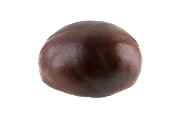 Chestnut isolated on white background — Stock Photo, Image