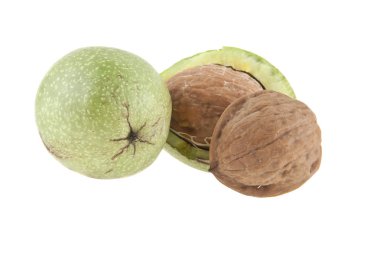 beyaz arkaplanda izole edilmiş ceviz