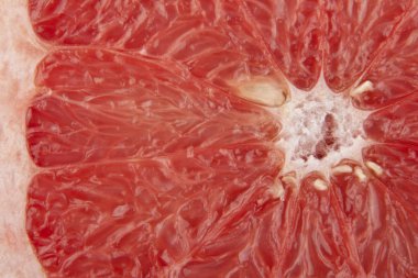 Greyfurt yakın çekim hamuru