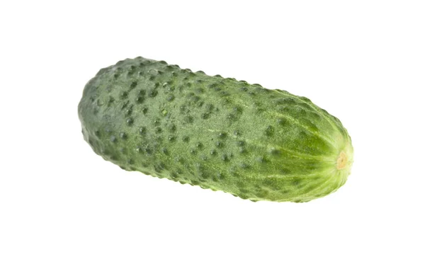 Färsk grön gurka isolerad på vit bakgrund — Stockfoto