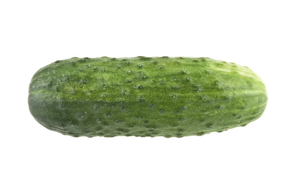 Verse groene komkommer geïsoleerd op witte achtergrond — Stockfoto
