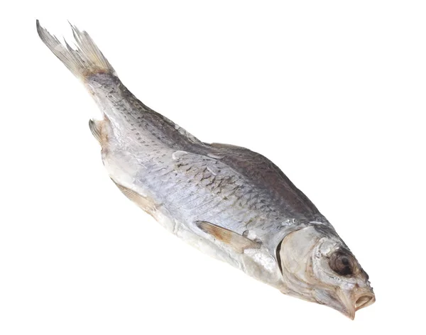 Gedroogde vis geïsoleerd op witte achtergrond — Stockfoto