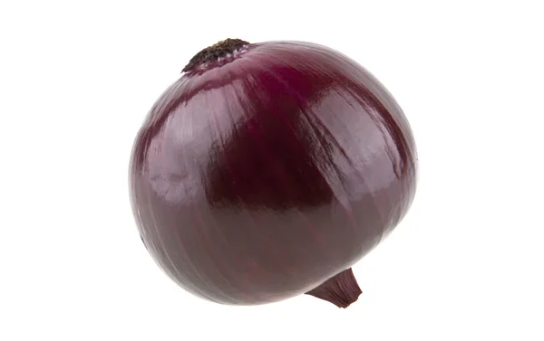 Purple onion isolated on white background — Stock Photo, Image