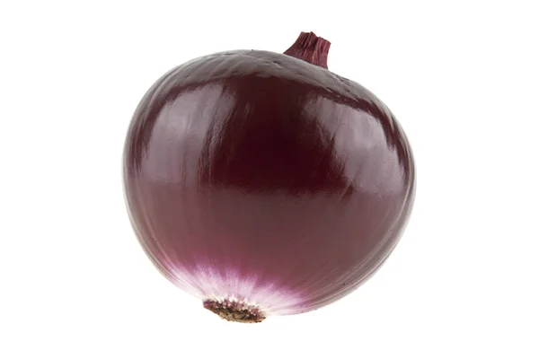 Cebolla morada aislada sobre fondo blanco — Foto de Stock