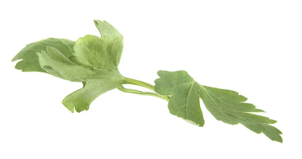 Salsa verde isolada sobre fundo branco — Fotografia de Stock