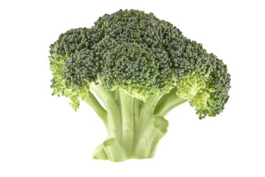 Brokoli beyaz arkaplanda izole edildi