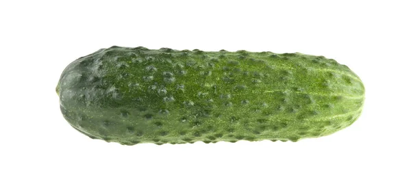 Свіжий Зелений Огірок Ізольований Білому Тлі — стокове фото
