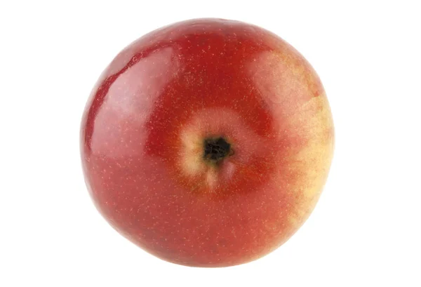Rode Appel Geïsoleerd Witte Achtergrond — Stockfoto