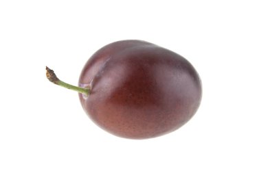 Beyaz arkaplanda erik izole edildi