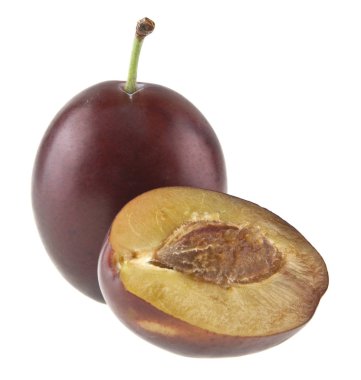 Beyaz arkaplanda erik izole edildi