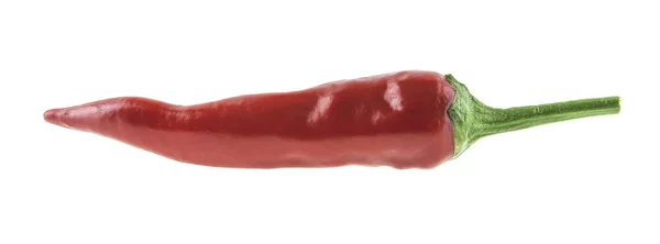 Κόκκινο πιπέρι τσίλι απομονώνονται σε λευκό φόντο — Φωτογραφία Αρχείου