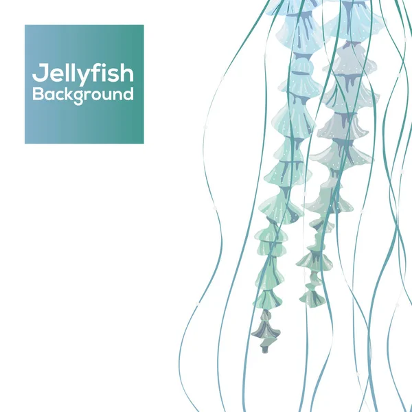 Sfondo con meduse trasparenti dettagliate. Gelatina di mare su sfondo bianco. Utile per striscioni, broshure, copertine. Illustrazione vettoriale — Vettoriale Stock