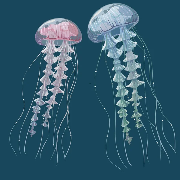 Medusas transparentes detalladas. Jalea de mar rosa y azul sobre fondo azul. Ilustración vectorial — Archivo Imágenes Vectoriales
