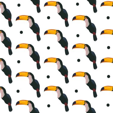 Toucan ve beyaz arka plan üzerinde noktalar ile Seamless Modeli