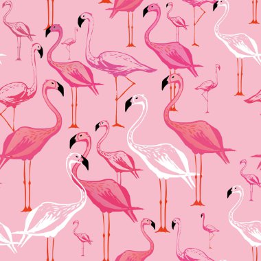 Flamingo seamless modeli. Vektör arka plan tasarımı ile flamingolar için duvar kağıdı, kumaş, tekstil.