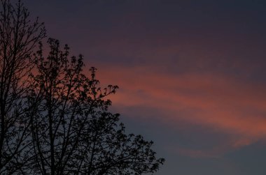 Akşam gökyüzü ve bulutlar