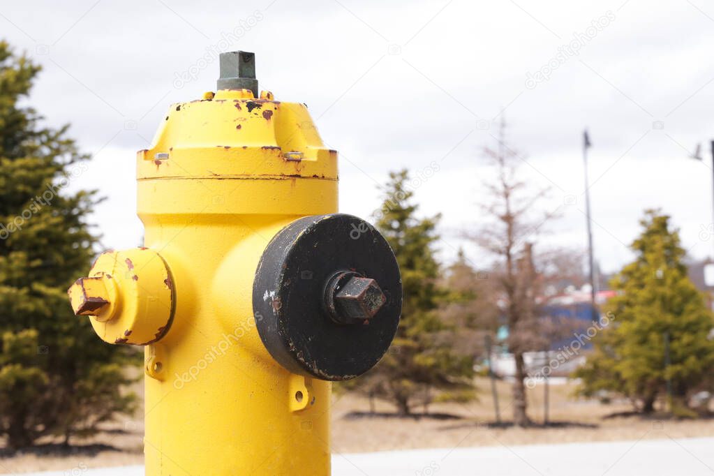 Bright yellow fire hydrant in the park 