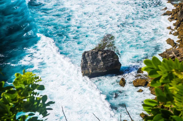 Isola rocciosa con albero in mezzo onde schiumose — Foto Stock