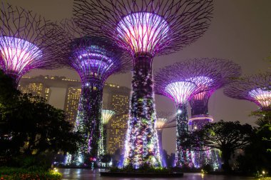 Singapur. Körfez kenarındaki bahçeler