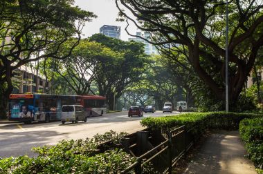 Singapur. Ekim 2013. Singapur Sokağı 