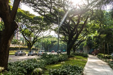 Singapur. Ekim 2013. Singapur Sokağı 