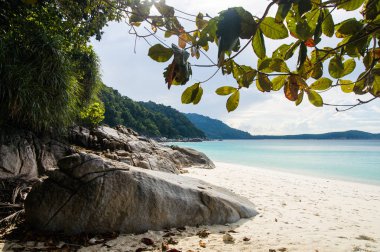 Görünümü ile beyaz kum Kaplumbağa Plajı buzlu yapraklarda 