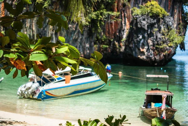 Thajsko Krabi. Října 2010. Větvička s listy na rozmazané bac — Stock fotografie