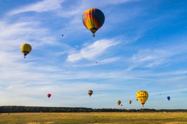 Birçok balon mavi clo karşı tarla ve orman üzerinde uçar