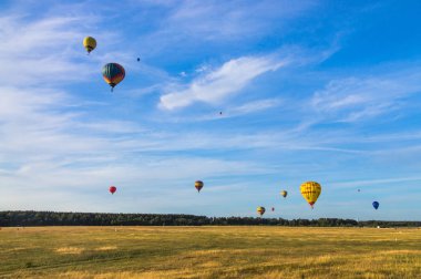 Birçok balon mavi clo karşı tarla ve orman üzerinde uçar