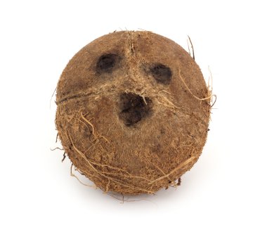 Beyaz arka planda tüm hindistan cevizi