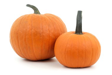 halloween veya Şükran günü için beyaz arka plan üzerinde iki kabaklar