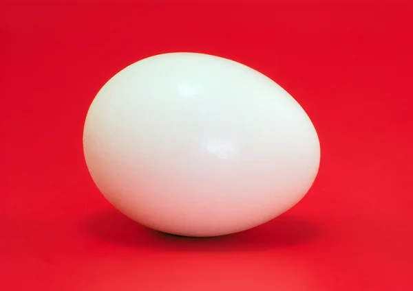 White egg on red background, horizontal studio shot — Stock Photo, Image