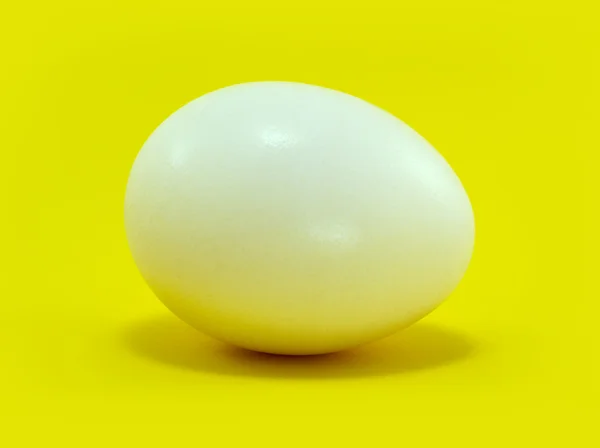 One white egg horizontal on yellow background — Stock Photo, Image