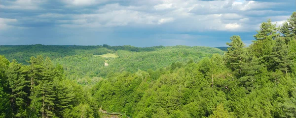 Лесной пейзаж зеленый панорамный серый парк неба — стоковое фото