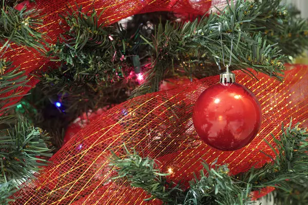 Červené vánoční cetka s mašlí na stromě — Stock fotografie