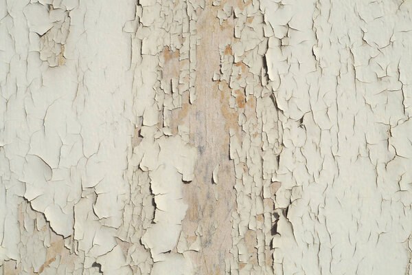 peeling paint faded color rough wood texture