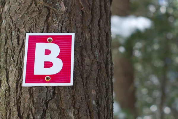 Wood path sign letter b forest graphic typography — Stock Photo, Image