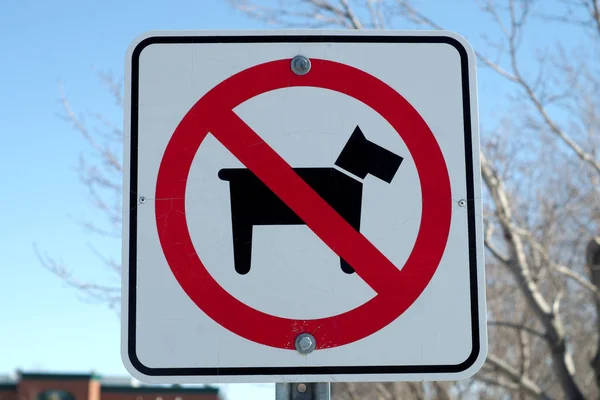 Chien interdit signe parc règle animal interdit — Photo