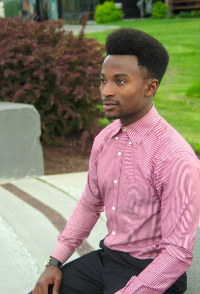 A fiatalember visel rózsaszín inget, ülve kívül a Park — Stock Fotó