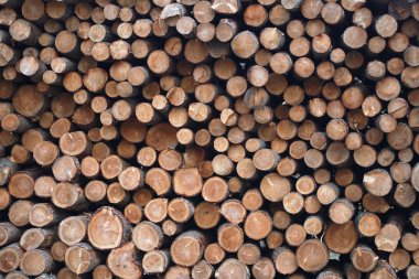 Kereste Ahşap ahşap günlük yığın yığın Orman Endüstri doğal kaynak