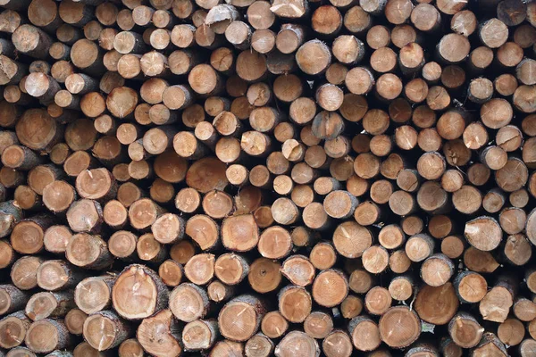 Madera aserradero madera tronco pila pila bosque industria recurso natural — Foto de Stock