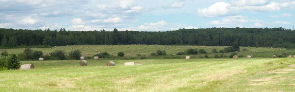 Fardo de feno campo fazenda agricultura paisagem rural prado panorâmico — Fotografia de Stock