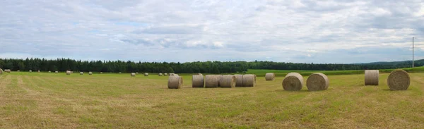 Campo de pacas de heno agricultura paisaje rural pradera panorámica — Foto de Stock