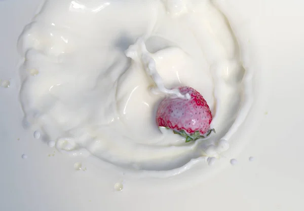Una fresa salpicando en yogur cremoso —  Fotos de Stock