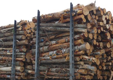 woodpile kereste yığın Ormancılık ulaşım ağaçların gövdeleri orman sanayi